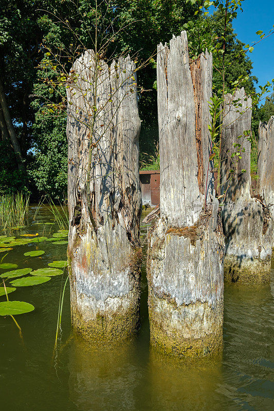 View from the water level to the weathered wooden planks of of the inoperative rail ferry in Fürstenberg at the "Siggelhavel" river between lakes "Stolpsee" and "Schwedtsee"